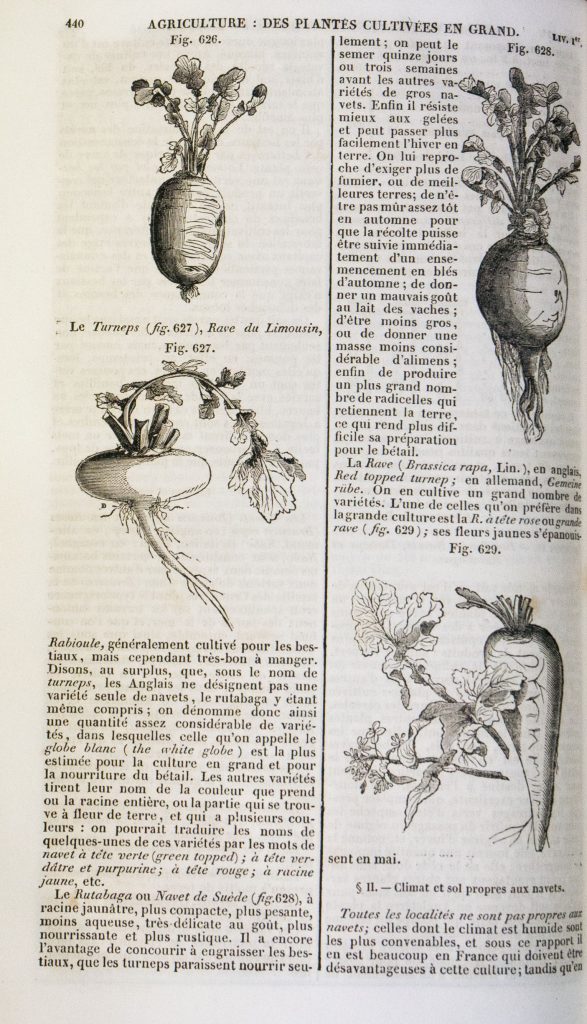 Maison rustique du XIXe siècle (La) - Le Dicopathe Maison rustique du XIXe siècle (La) - Le Dicopathe