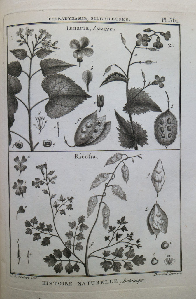 洋書 ENCYCLOPEDIE METHODIQUE 102 Encyclopédie méthodique - Le Dicopathe