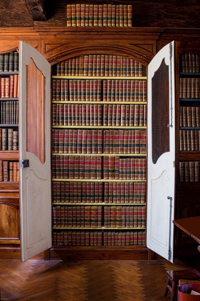 Encyclopédie méthodique - Le Dicopathe