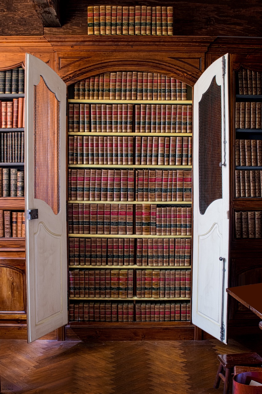 Encyclopédie méthodique - Le Dicopathe