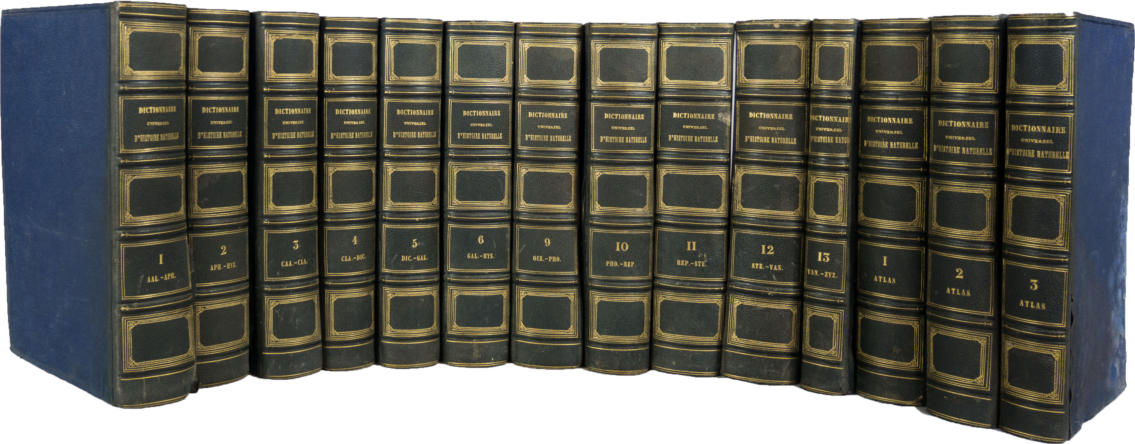 Dictionnaire universel d'histoire naturelle - Le Dicopathe