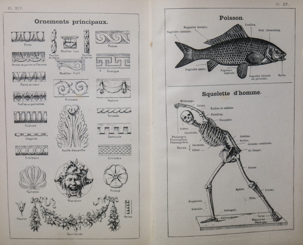 Dictionnaire Des Idées Suggérées Par Les Mots En Ligne