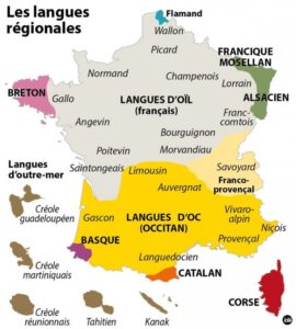 Petit Dictionnaire Insolite De L'alsacien Et Des Alsaciens - Livre Humour Et Culture Régionale | Découverte Linguistique Et Traditions